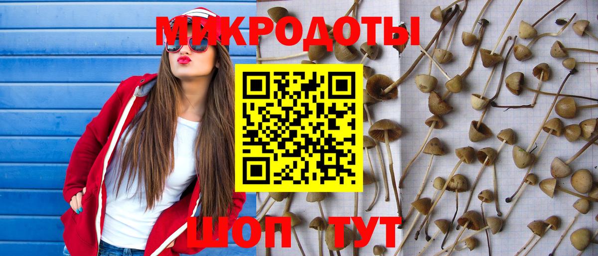Псилоцибиновые грибы Cubensis  наркота  Якутск  Вход с VPN 
